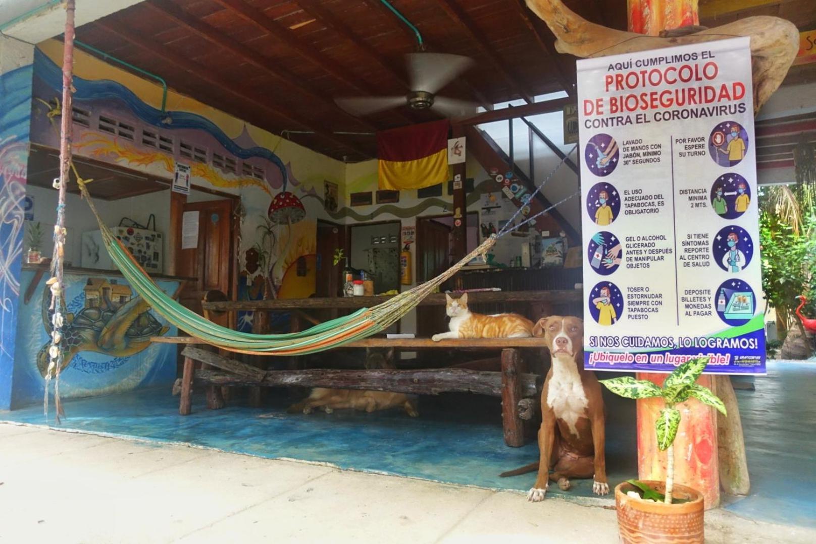 Casa Surf Mar Azul Hotel Palomino Exterior foto
